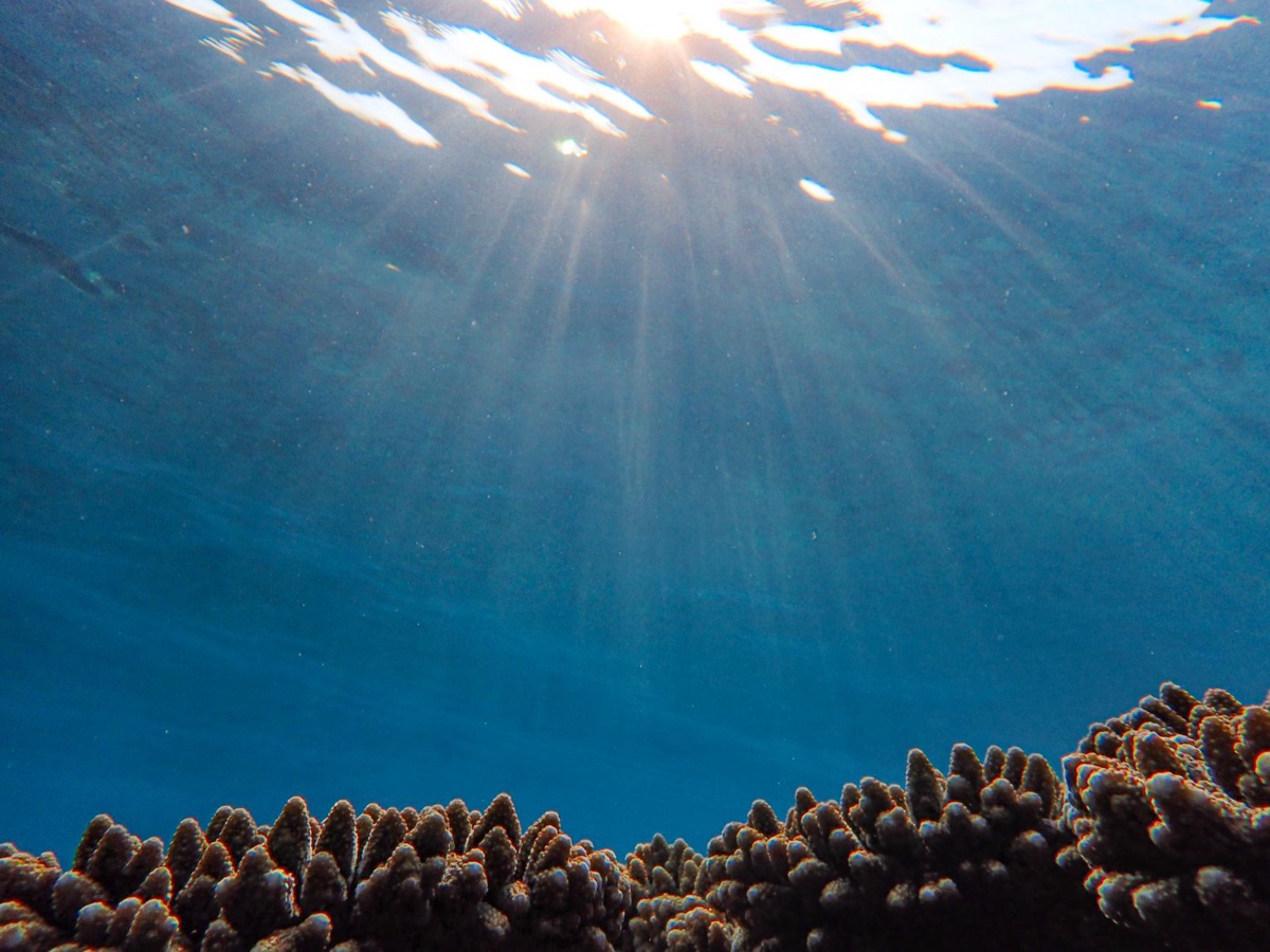 Okinawa onderwaterkorallenreef