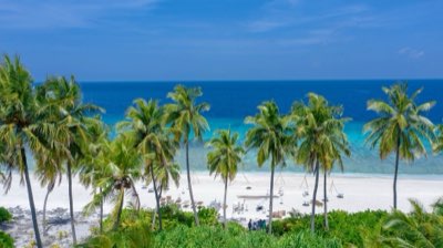 Okinawa Swim Guide: Beaches, Caves, and Best Times to Dive