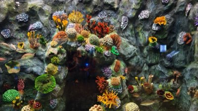Okinawa : Plongée, snorkeling et Grotte Bleue, le guide ultime