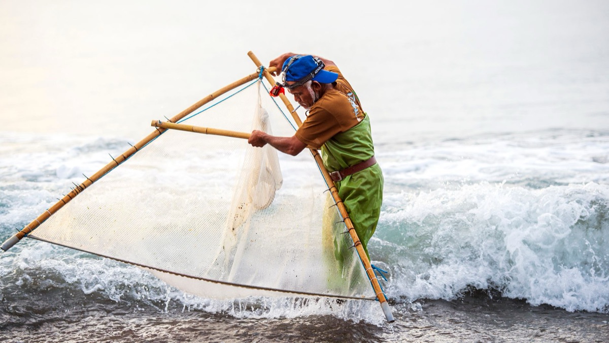 Ryukyu fisherman at work