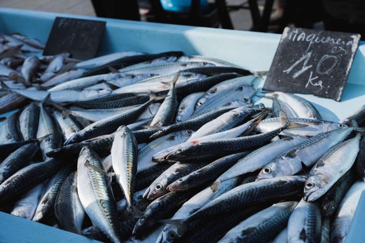 Fresh okinawan seafood at a local fish market