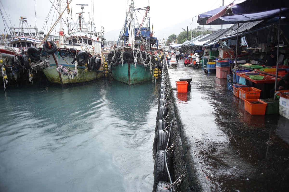 Mercado de pescado en Okinawa