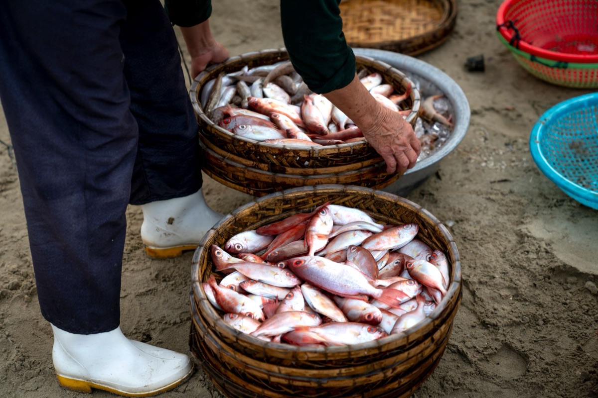 Okinawan street vendor selling fresh seafood