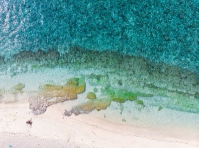 Plongée Miyakojima : Clarté inégalée, immersion totale garantie