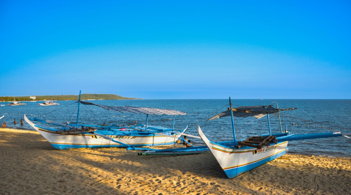 praia com peixes coloridos