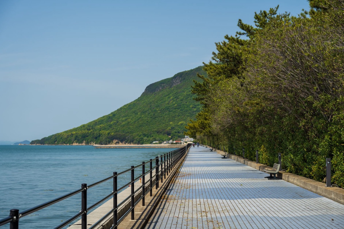 奧崎島山間小徑