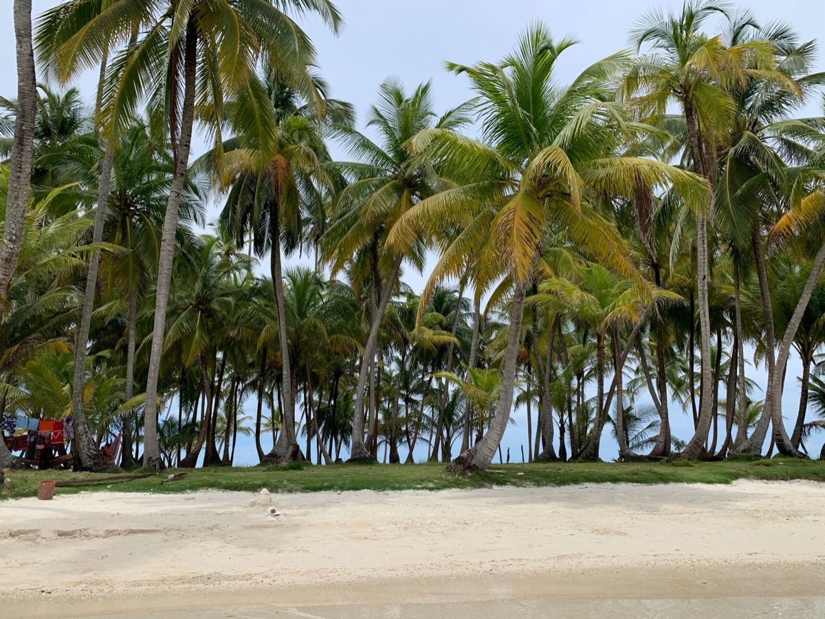 Wahres Sandstrand mit Palmen