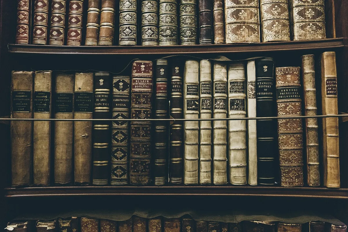 책, 도서관, 읽기, 교육, 역사, 철학, полка, 학습, 문학, 도서관, 역사, 역사, 역사, 역사, 역사, 철학