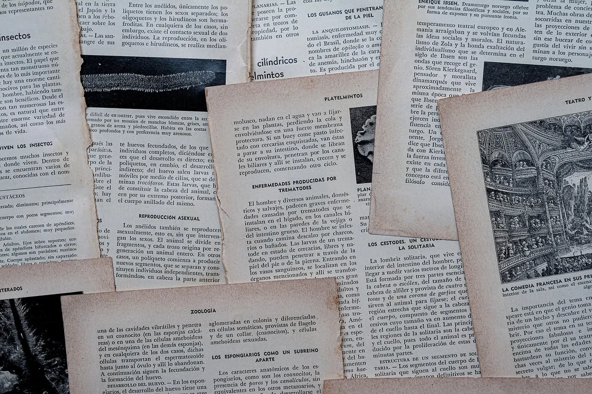 old pages, literature, historical, paper texture, vintage, reading, antique, nostalgia, library, knowledge, weathered, old paper, historical documents, classic,