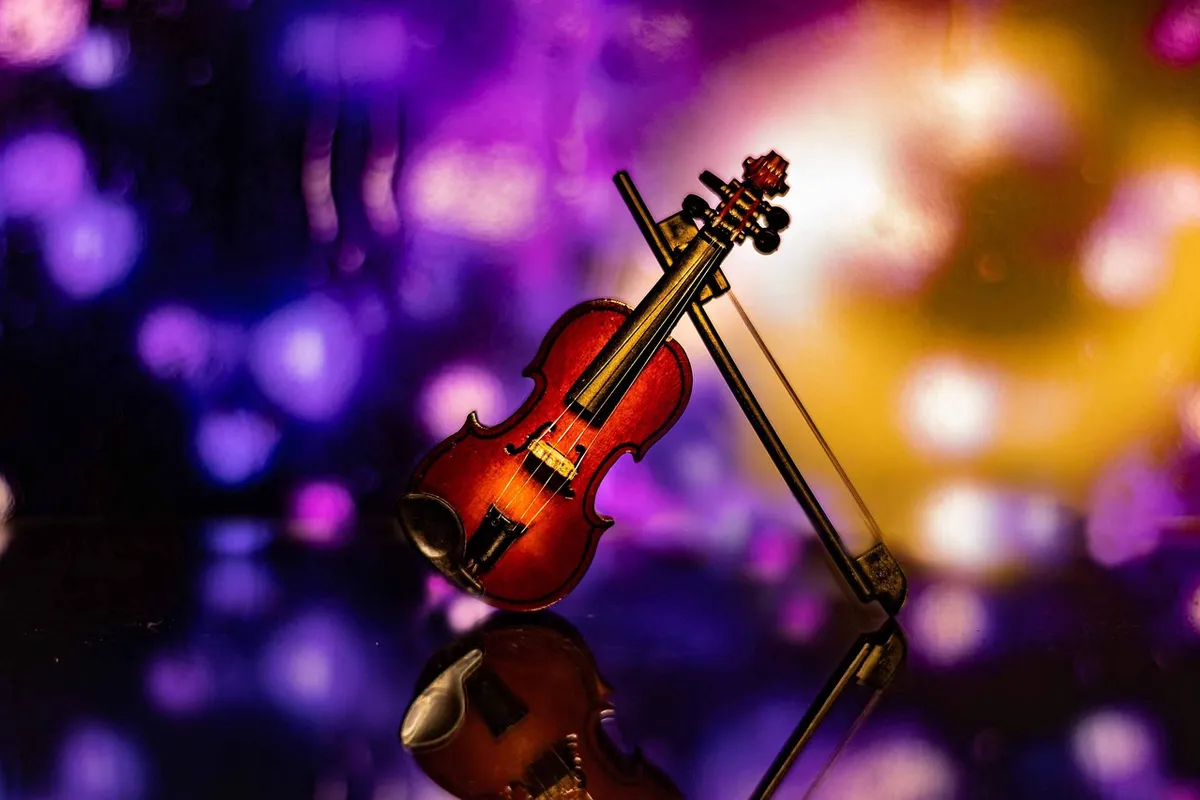 violin, bokeh, classic, entertainment, artist, string, instrument, music, orchestra, culture, musical, concert, violin, orchestra, orchestra, orchestra, orchest